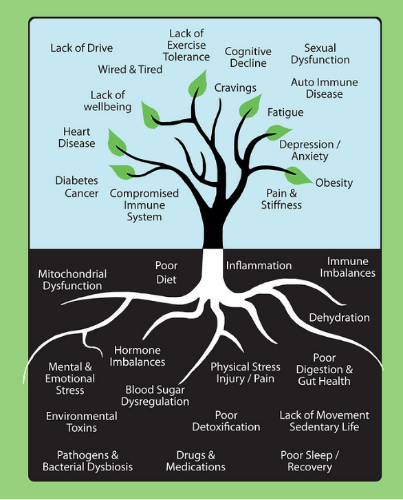 Functional medicine certification course - AutoimmunityCare