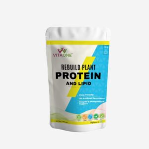 Rebuild Plant Protein with Phospholipids l Vegan I Unflavoured