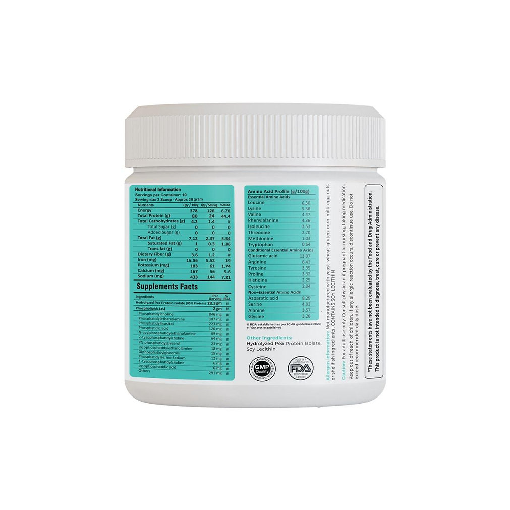 FMN Assimilate Protein