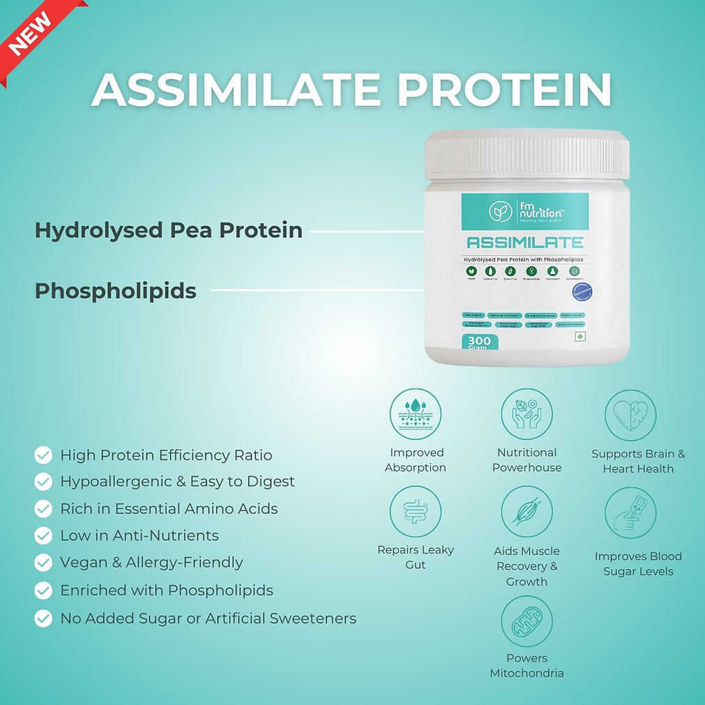 FMN Assimilate Protein