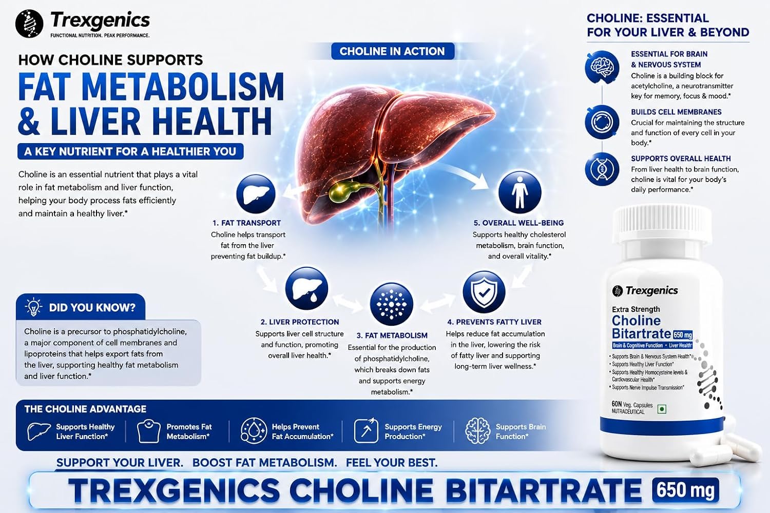 Trexgenics Choline Bitartrate 650mg - Image 4